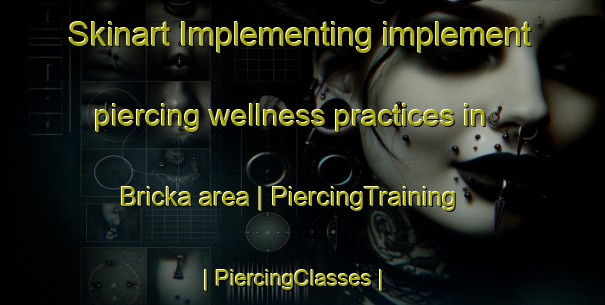 Skinart Implementing implement piercing wellness practices in Bricka area | PiercingTraining | PiercingClasses | SkinartTraining-Sweden